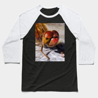 Red Dragonfly Macro Photograph Baseball T-Shirt